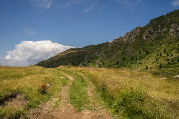 Paesaggio Colline Ricoperte Verde Sotto Cielo Blu Luce Del Sole — Foto Stock