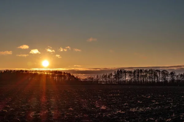 Bela paisagem de uma variedade de árvores com o pôr do sol no fundo — Fotografia de Stock