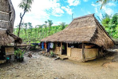 Inhabited hut in the Sasak Village Ende, Lombok, Indonesia clipart