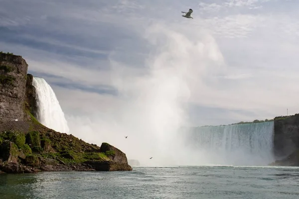 Piękne ujęcie wodospadu Horseshoe z mewą latającą nad wodą w Kanadzie — Zdjęcie stockowe