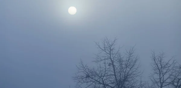Φωτεινός ήλιος σε γαλάζιο ουρανό πάνω από γυμνά δέντρα κατά τη διάρκεια του χειμώνα — Φωτογραφία Αρχείου