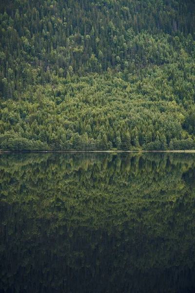 Vertikal bild av spegelbilden av det vackra trädtäckta berget i den lugna sjön i Norge — Stockfoto