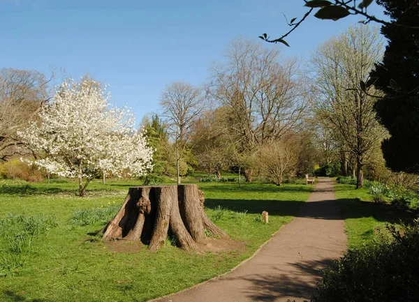 Bath England United Kingdom Mar 2019 Botanical Gardens Royal Victoria — Stock Photo, Image