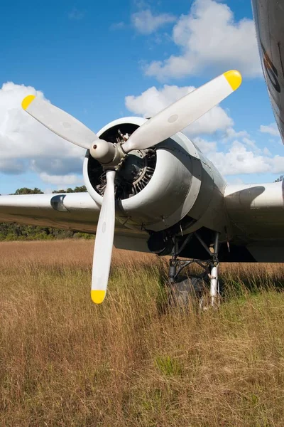 Tiro Vertical Hélice Avião Pousou Grama Seca — Fotografia de Stock