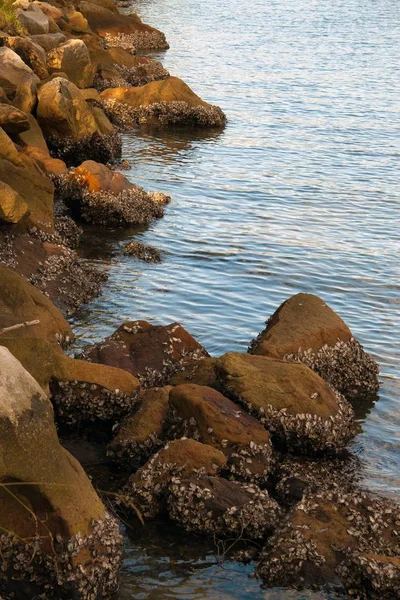 Tiro vertical de ângulo alto das pedras marrons no corpo da água — Fotografia de Stock