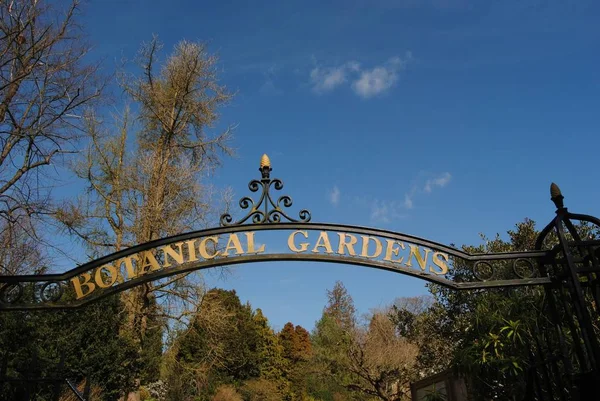 英国巴斯 2019年3月25日 英国巴斯维多利亚皇家公园植物园 2019年3月25日 这些花园始建于1887年维多利亚女王统治时期 — 图库照片