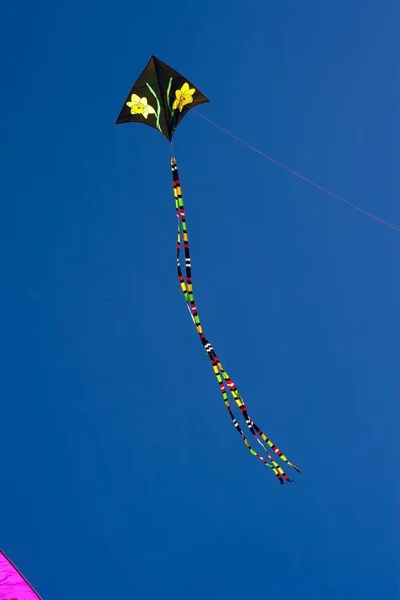 Tiro Vertical Belo Papagaio Lançado Céu — Fotografia de Stock