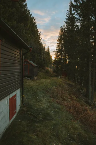 ノルウェーで撮影された木に囲まれた丘の上の木造コテージの垂直ショット — ストック写真