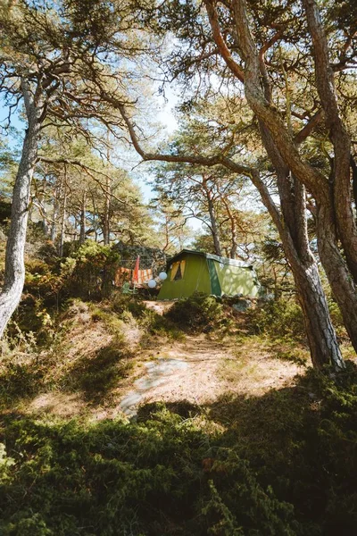 Photo verticale d'une tente au milieu d'une forêt capturée à Madère, Portugal — Photo