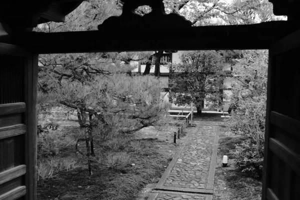 Imagen en escala de grises de un sendero en medio de árboles y plantas — Foto de Stock