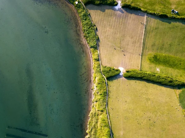 Luchtopname van een veld in de buurt van de turquoise oceaan overgenomen door de vloot, Weymouth, Dorset, Uk — Stockfoto