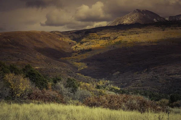 Paisaje de diferentes tipos de plantas que crecen en medio de las colinas en el cañón — Foto de Stock