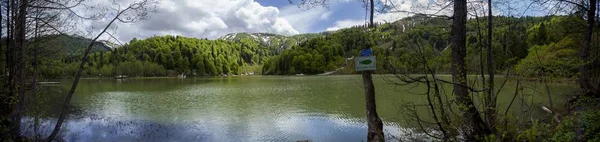Panoramiczne ujęcie jeziora otoczonego lasem pod zachmurzonym niebem i drzewami na pierwszym planie — Zdjęcie stockowe