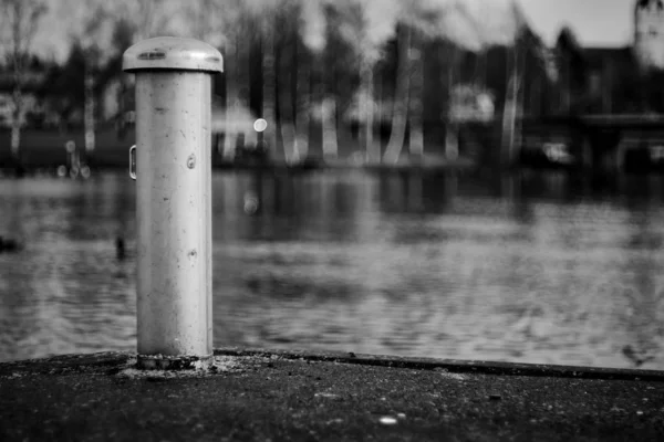 Gray scale shot of a dock by a calm lake with the trees in the background