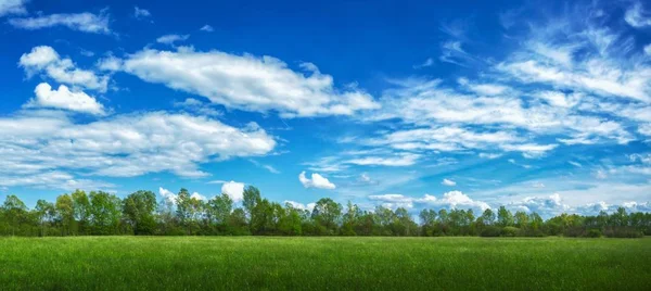 Πανοραμική θέα ενός αγρού καλυμμένου με γρασίδι και δέντρα κάτω από το φως του ήλιου και συννεφιασμένο ουρανό — Φωτογραφία Αρχείου