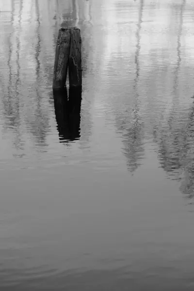 Balança cinza vertical do reflexo de dois troncos de madeira no lago — Fotografia de Stock