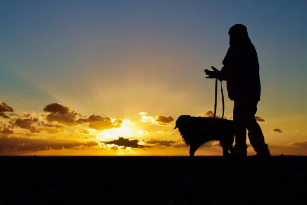 Silhouette of a person walking with his dog and the sunset in the background — Stock Photo, Image