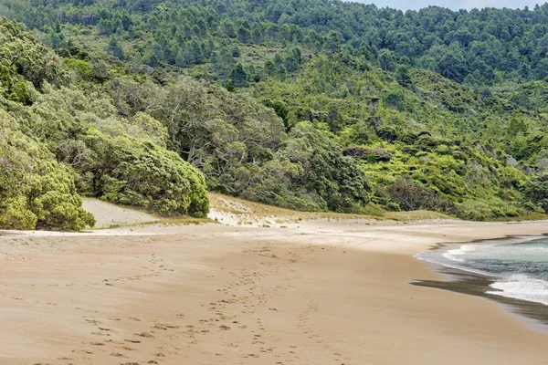 Hermoso paisaje de formaciones rocosas y plantas verdes en New Chums Beach en Nueva Zelanda — Foto de Stock
