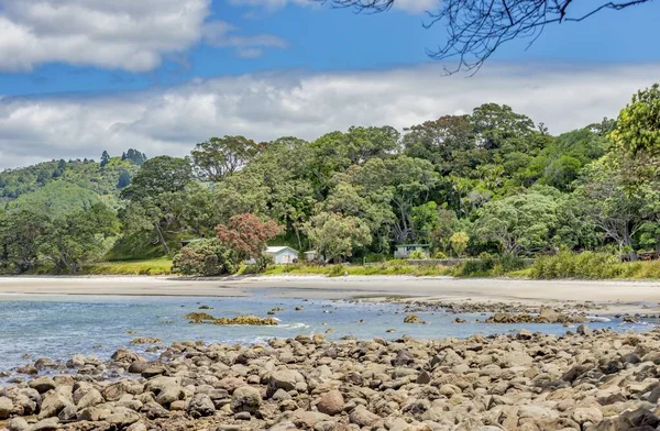 Schöne Landschaft von Felsformationen und grünen Pflanzen am neuen Kumpelstrand in Neuseeland — Stockfoto
