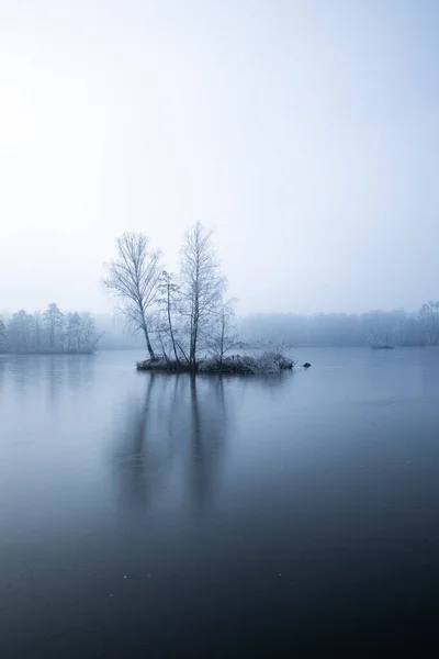 Plan Vertical Lac Couvert Brouillard Dense Avec Quelques Arbres Poussant — Photo