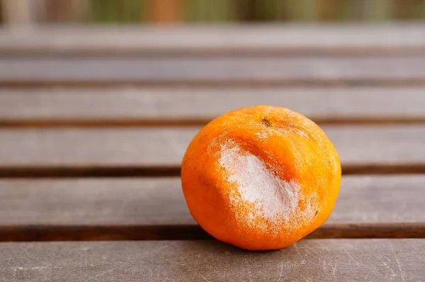 Closeup shot of a rotten tangerine on a wooden surface — Stock Photo, Image
