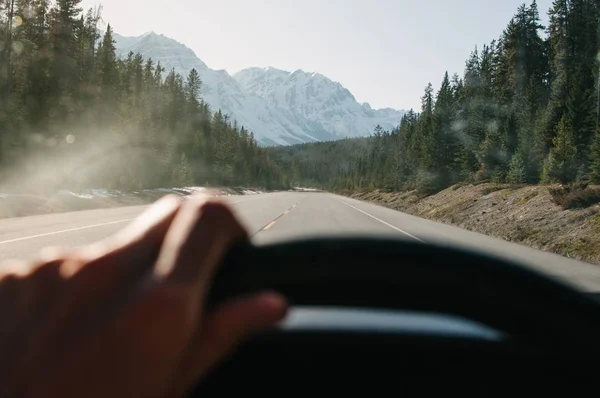 Closeup shot of a person holding the wheel of a car while driving in the forest — 스톡 사진