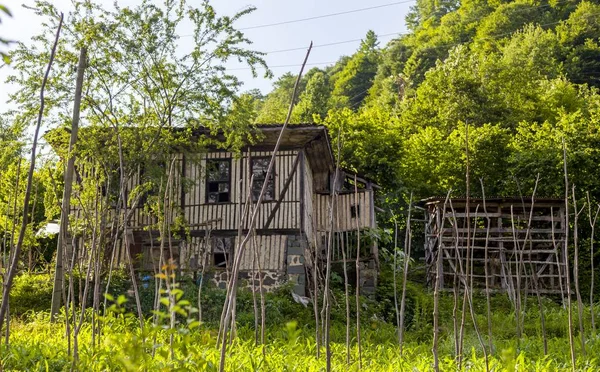 Çimlerin üzerindeki güzel köy evi ağaçların arasındaki tarlada — Stok fotoğraf