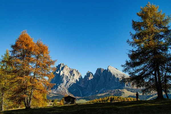 ドロマイトイタリアの景色を楽しむ芝生の丘の上に立つ人の美しいショット — ストック写真