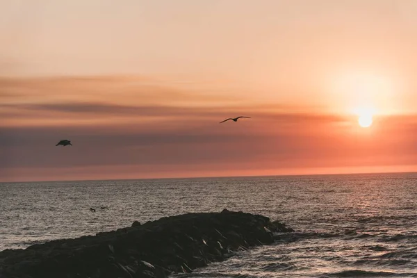 Bella vista sul mare con un uccello che vola su di esso — Foto Stock