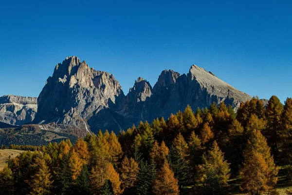 Bela Paisagem Árvores Montanha Distância Dolomite Itália — Fotografia de Stock