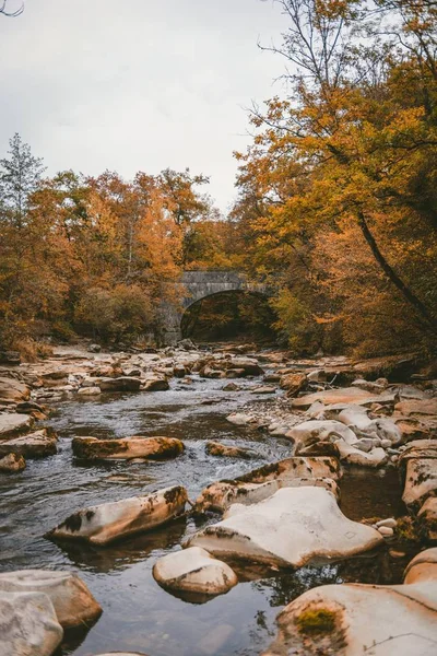 Vertical Shot River Lot Rocks Surrounded Autumn Trees Concrete Bridge — 스톡 사진