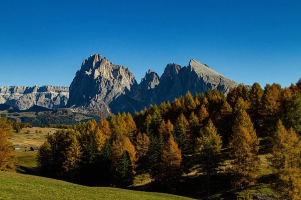 Piękne Ujęcie Zielonych Drzew Góry Oddali Dolomicie Włochy — Zdjęcie stockowe