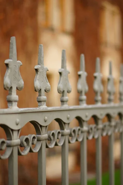 背景がぼやけている鉄のフェンスの詳細の垂直閉鎖ショット — ストック写真