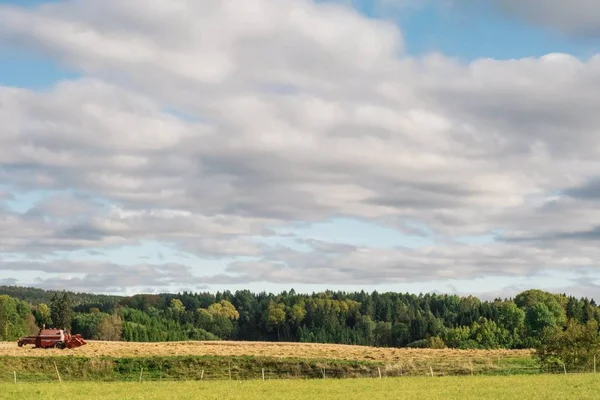 Agricultural Field Surrounded Green Trees Cloudy Sky — Stock Photo, Image