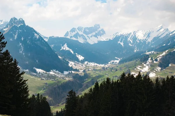 High Angle Shot Beautiful Mountain Range Covered Snow Surrounded Fir — Stockfoto