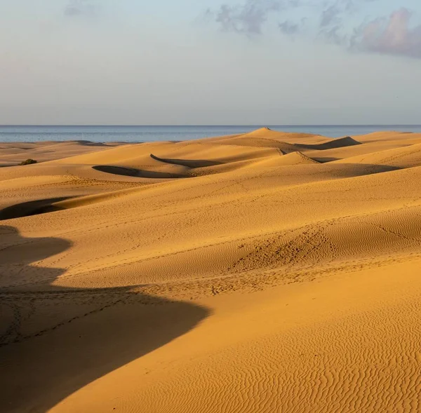Dunes at the beach in Maspalomas, Gran Canaria — Stock Photo, Image