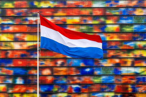 Bandiera Olandese Sul Palo Con Muro Colorato Sullo Sfondo — Foto Stock