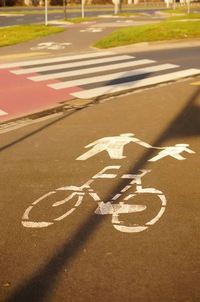 Verticale hoge hoek opname van verkeersborden op de grond voor fietsers en voetgangers — Stockfoto