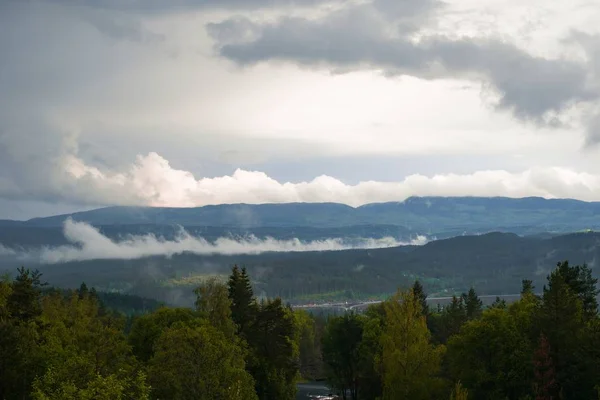 Beautiful Scenery Landscape Lot High Mountains Fir Trees Cloudy Sky — Stockfoto