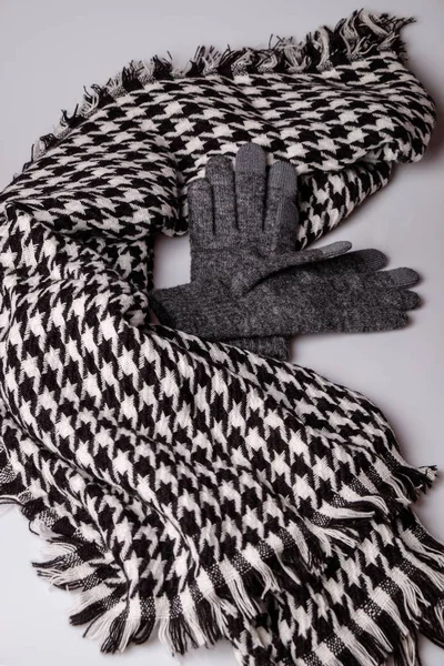 Ein Vertikaler Schuss Warmer Winterhandschuhe Und Ein Schal — Stockfoto