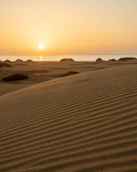 Nascer do sol de manhã cedo nas dunas de Maspalomas — Fotografia de Stock
