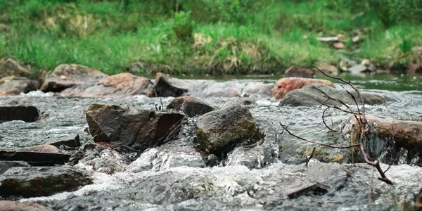 Viele Felsen Einem Fluss Auf Einer Wiese Tagsüber — Stockfoto