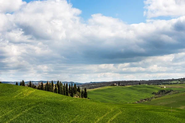 Beautiful Shot Grassy Hills Green Trees Cloudy Sky — Stock Photo, Image