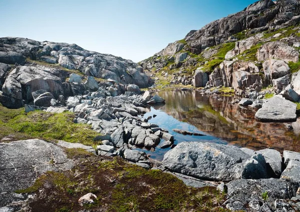 Rio cercado por rochas cobertas de musgos sob a luz do sol na Groenlândia — Fotografia de Stock