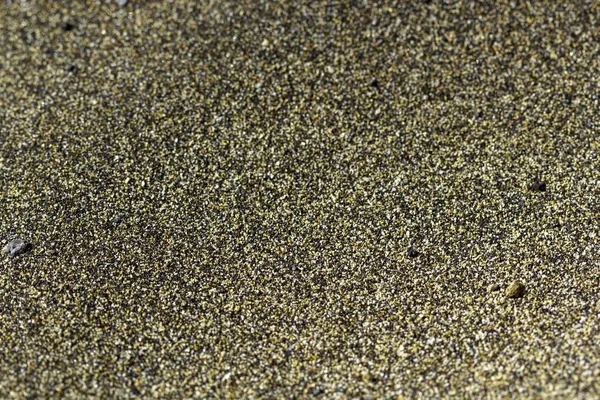 Szekrény homok borítja a strandon napfény alatt - egy szép kép hátterek és háttérképek — Stock Fotó