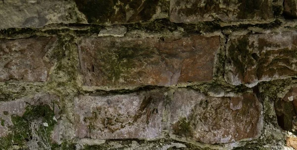 Detailní Záběr Starou Kamennou Zeď Pokrytou Mechem Pod Slunečním Světlem — Stock fotografie