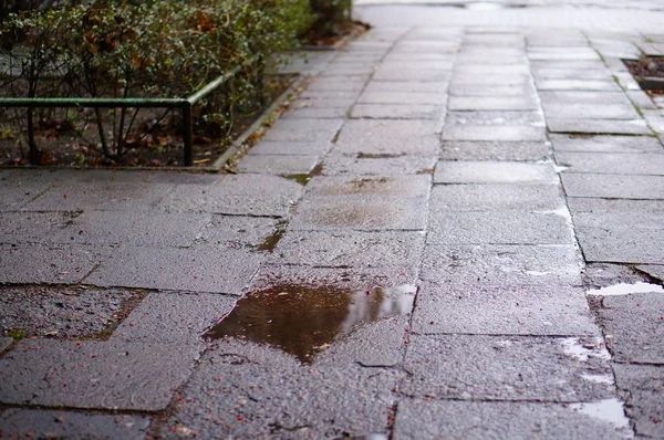 Filme de foco seletivo de uma calçada molhada em um dia chuvoso — Fotografia de Stock