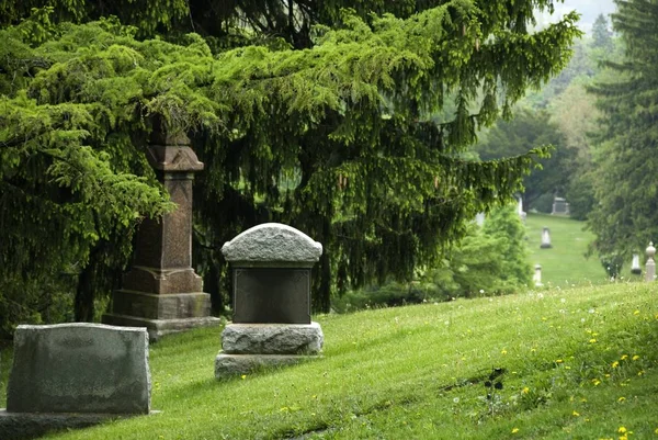 Широкоугольный снимок могилы на зеленом ландшафте в окружении деревьев — стоковое фото