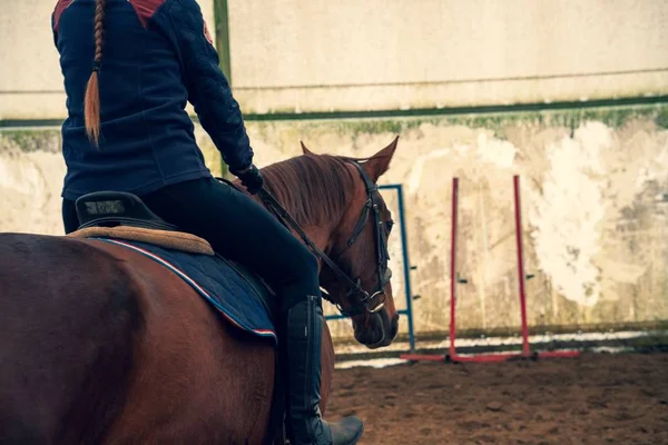 後ろから馬に乗っている女性 — ストック写真