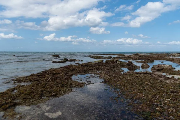 High Angle Shot Calm Ocean Shore Cloudy Sky — 스톡 사진